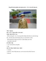 Sáng kiến kinh nghiệm môn tập đọc lớp 2 – Cây và hoa bên lăng bác pot