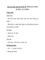 Giáo án môn sinh lớp 6Tiết 30: SINH SẢN SINH DƯỠNG TỰ NHIÊN pdf