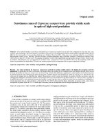 Báo cáo lâm nghiệp: 