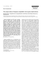 Báo cáo khoa học: 