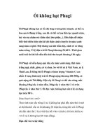 Ổi không hạt Phugi ppsx