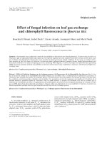 Báo cáo khoa học: 