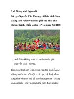Ảnh Giáng sinh đẹp nhất pot