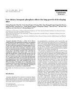 Báo cáo khoa học: 