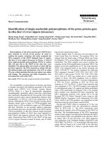 Báo cáo khoa học: 