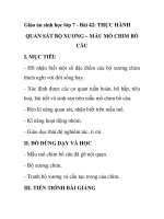 Giáo án sinh học lớp 7 - Bài 42: THỰC HÀNH QUAN SÁT BỘ XƯƠNG – MẪU MỔ CHIM BỒ CÂU potx