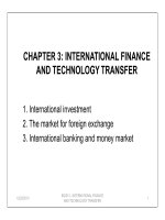 International finance and technology transfer pps