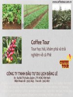 Tour học hỏi, khám phá và trải nghiệm về cà phê potx