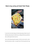 Bánh tráng nướng mỡ hành Ninh Thuận ppt