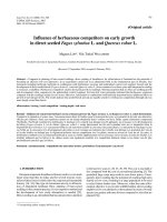 Báo cáo lâm nghiệp: 