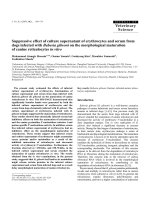 Báo cáo khoa học: 