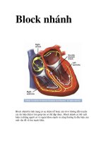 Block nhánh pptx