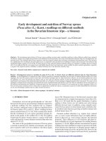 Báo cáo lâm nghiệp: 