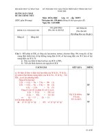 Đề thi casio môn hóa học ppt