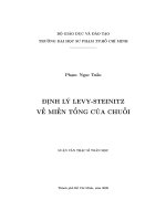 Định lý LEVY STEINITZ về miền tổng của chuỗi