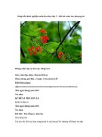 Sáng kiến kinh nghiệm môn âm nhạc lớp 5 – bài hát mùa hoa phượng nở pdf