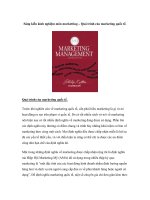 Sáng kiến kinh nghiệm môn marketting – Quá trình của marketing quốc tế. potx