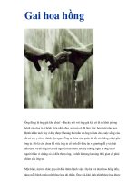 Gai hoa hồng docx