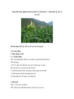 Sáng kiến kinh nghiệm môn tự nhiên và xã hội lớp 2 – nhận biết cây cối và con vật pdf