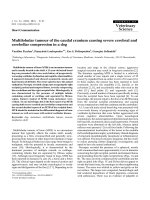 Báo cáo khoa học: 