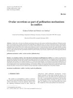 Báo cáo khoa học: 