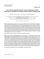 Báo cáo lâm nghiệp: 