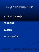 TỶ SUẤT LỢI NHUẬN VÀ RỦI RO ppt