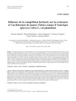 Báo cáo khoa học: 