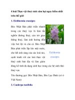 4 loài Thực vật thuỷ sinh xâm hại nguy hiểm nhất trên thế giới pot