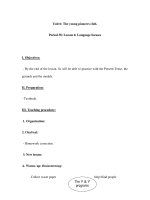 Unit 6: The young pioneers club.Period 38: Lesson 6: Language focuses pot