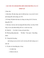 Giáo án Sinh Học lớp 10: CÁC YẾU TỐ ẢNH HƯỞNG ĐẾN SINH TRƯỞNG CỦA VI SINH VẬT potx