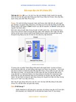 Các kiến thức về bảo mật mật mã docx