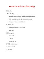 Giáo án Sinh học lớp 9 : Tên bài dạy : Ô NHIỄM MÔI TRƯỜNG (tiếp) docx