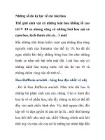 Những số đo kỷ lục về các loài hoa pptx