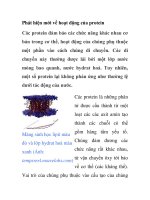 Phát hiện mới về hoạt động của protein pptx