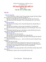 Kế hoạch giảng dạy khối Lá - Chủ đề: Tết và Mùa xuân ppsx