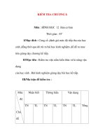 Giáo án Toán 12 ban cơ bản : Tên bài dạy : KIỂM TRA CHƯƠNG I: pps