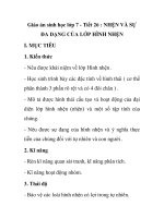 Giáo án sinh học lớp 7 - Tiết 26 : NHỆN VÀ SỰ ĐA DẠNG CỦA LỚP HÌNH NHỆN ppt