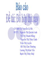 Báo cáo tiểu luận: Đồ hộp thịt xay pps