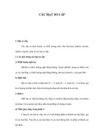 CÁC HẠT SƠ CẤP ppsx