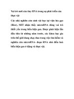 RNA trong sự phát triển của thực vật doc