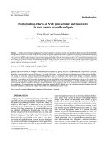 Báo cáo lâm nghiệp: