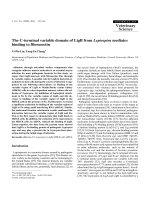 Báo cáo khoa học: 