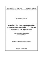 Nghiên cứu tình trạng kháng aspirin ở bệnh nhân có yếu tố nguy cơ tim mạch cao (tóm tắt)