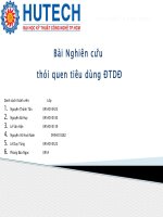 nghiên cứu thị trường sử dụng đt di động docx