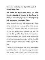 Khám phá con đường trực tiếp từ bên ngoài tế bào đến nhân tế bào ppt