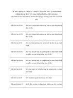 Mẫu biên bản vi phạm hành chính trong lĩnh vực giao thông đường thủy nội địa pps