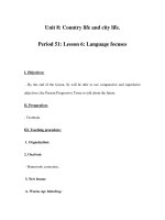 Unit 8: Country life and city life. Period 51: Lesson 6: Language focuses pptx