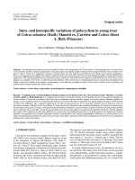 Báo cáo lâm nghiệp: