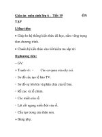 Giáo án môn sinh lớp 6 - Tiết 19 ÔN TẬP doc